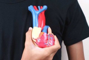 Cara Menjaga Jantung dan Otak Agar Sehat